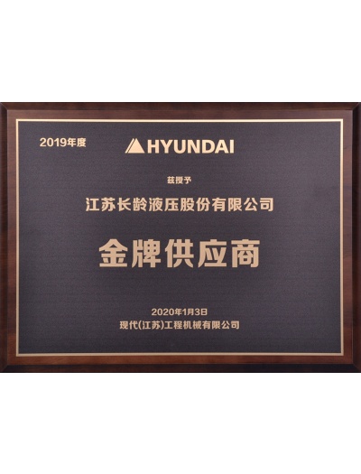 2019 GOLD Supplier of HYUNDAI