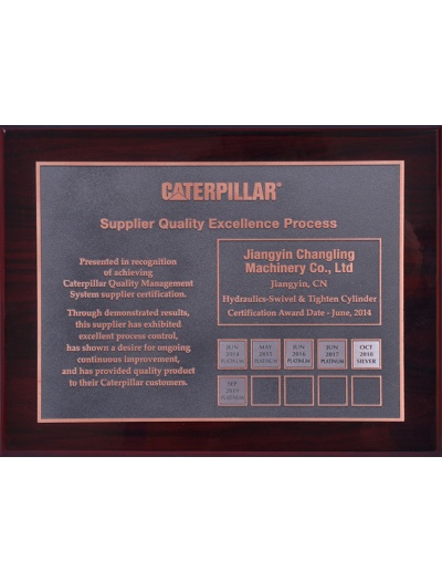 2014 Platinum Supplier of CATERPILLAR